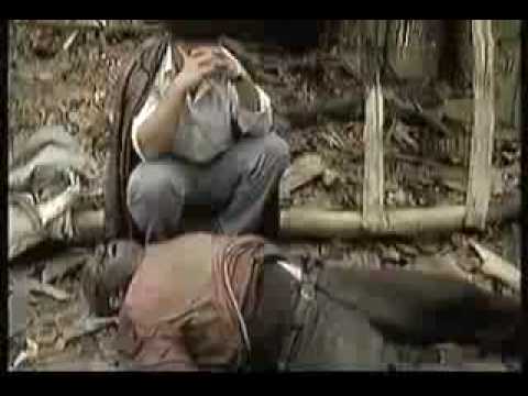 Kosovo: Oshlan Massaker - Gemeinde: Vushtrri - Grausamkeiten der Serben