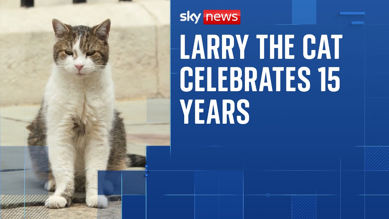 Larry the Cat celebrates 15 years in Downing Street