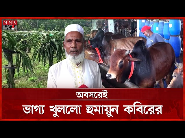 ১০ গরু নিয়ে শুরু, এখন দিনে দুধই বিক্রি হয় ৭০০ লিটার! | Pirojpur News | Cow | Milk Sales | Somoy TV