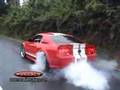 Ronaele Mustang better than Shelby GT 500 or Eleanor