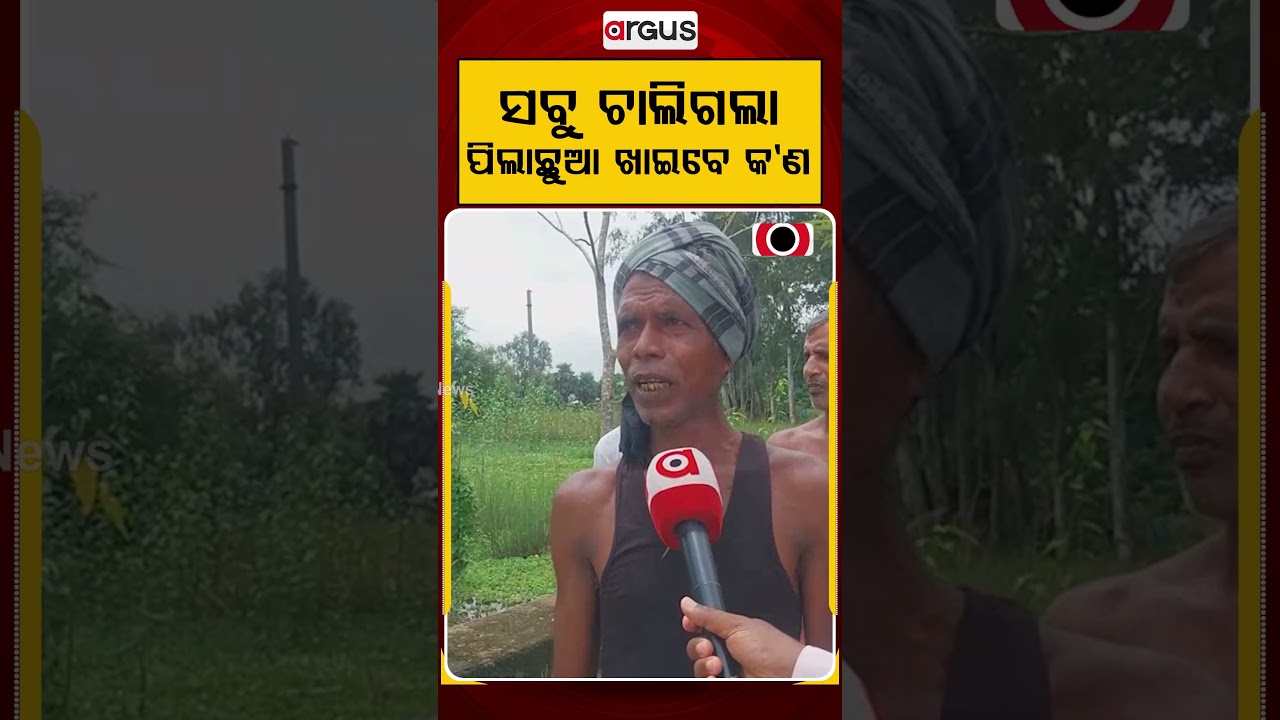 ସବୁ ଚାଲିଗଲା ପିଲାଛୁଆ ଖାଇବେ କଣ | Farmers Issue | Odisha Flood | Argus News