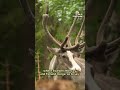 A base deep in the Swedish forest is part of Europes hope to compete in the space race  - 01:13 min - News - Video