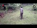 15-Foot-Long Cobra Rescued From Tamil Nadu Factory  - 01:03 min - News - Video