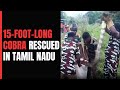 15-Foot-Long Cobra Rescued From Tamil Nadu Factory