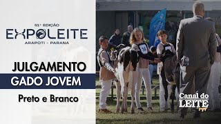 Expoleite Arapoti-PR  - Julgamento do Gado Jovem da Raça Holandesa PB