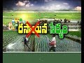 Idi Sangathi: AP marches to Pesticide-Free Farming