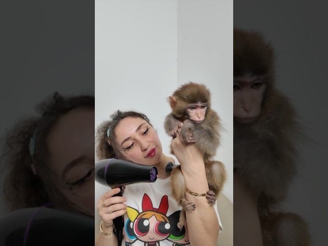 خلونا نوصل مليون مشان صورلكن فلوق جديد