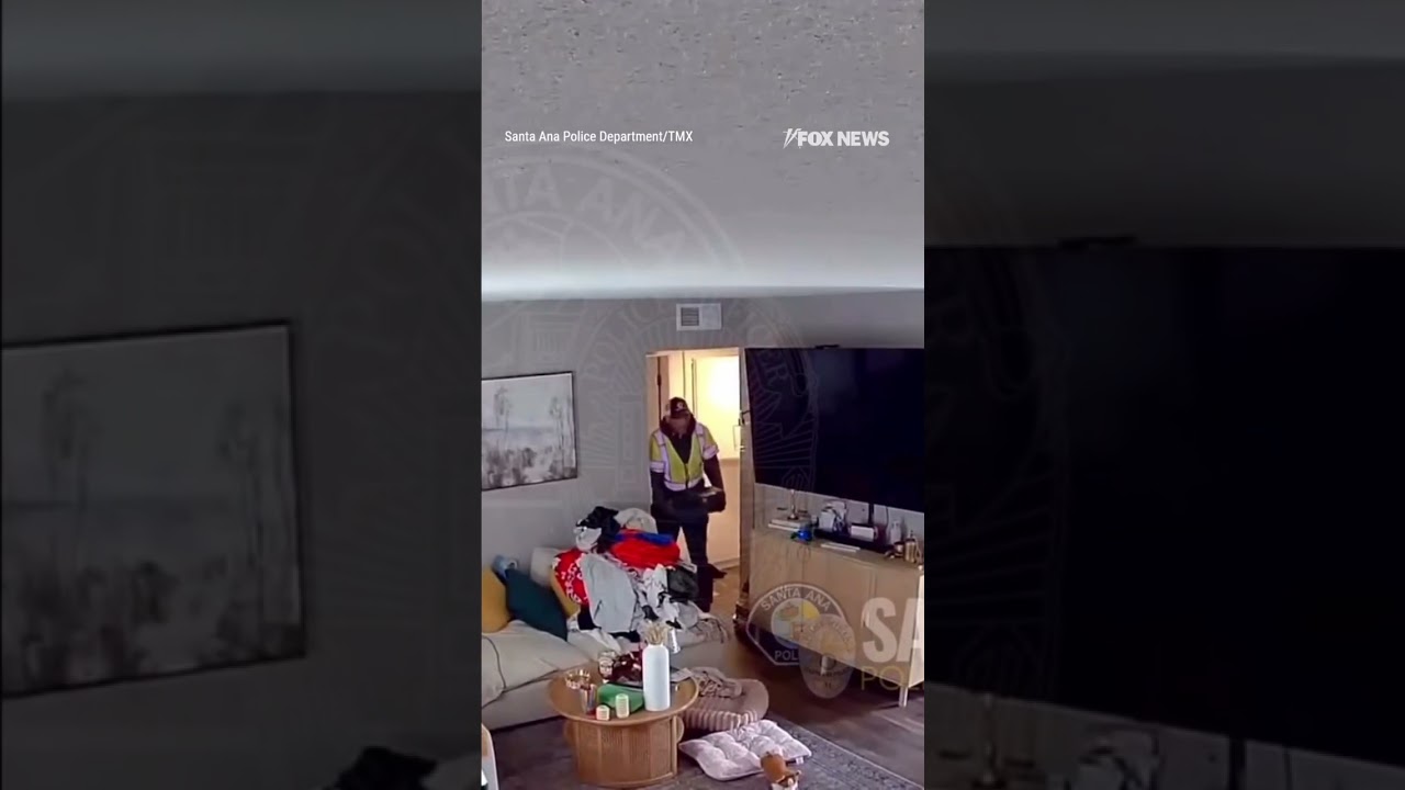 WATCH: Suspect steals $6k, designer items from home #shorts #us #news #foxnews #theft