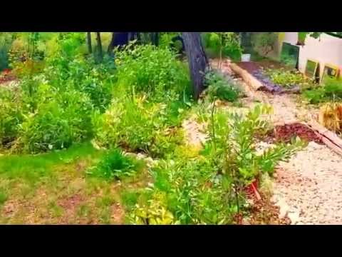 Vidéo de l’hébergement