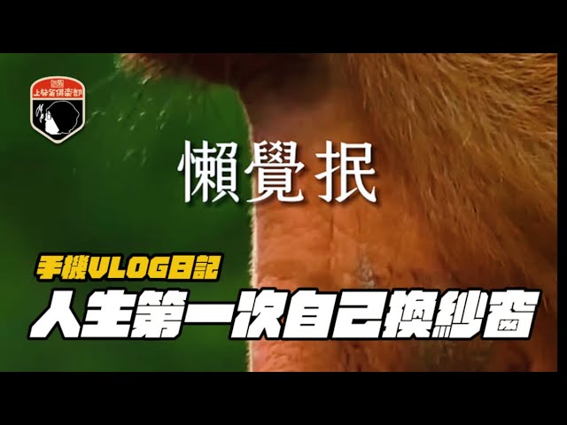 Vlog人生第一次自己換紗窗懶覺抿 - 上發條俱樂部