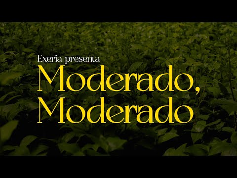 Exeria - Moderado, Moderado