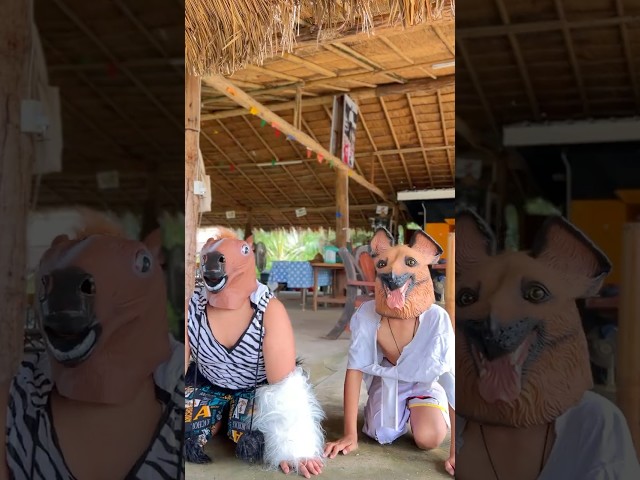 Horse & Puppy 🐶💔🐴 #funny #bkcity #puppy