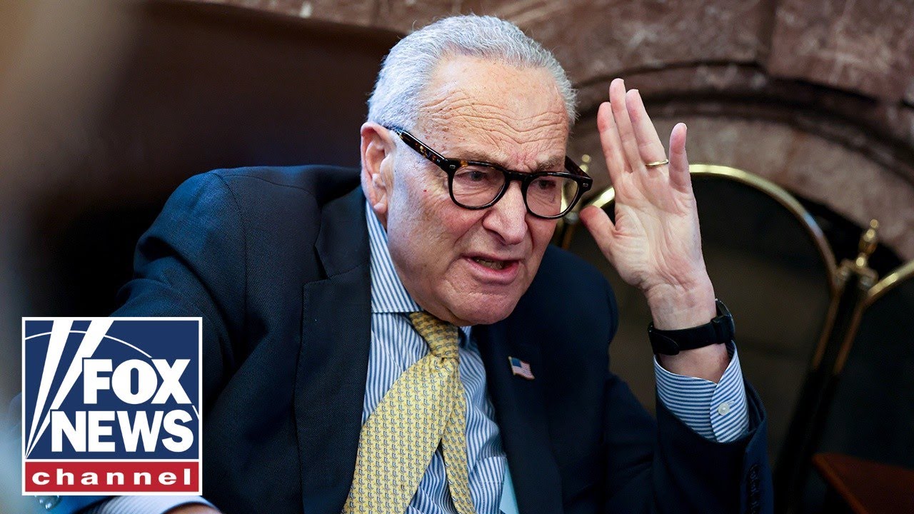 Schumer accused of 'holding the country HOSTAGE' after latest failed vote