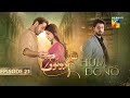 Hum Dono - Episode 21 - [CC] 10th December 2024 [ Kinza Hashmi & Azaan Sami ] - HUM TV