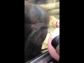 Viral video : Orangutan loves,kisses baby bump