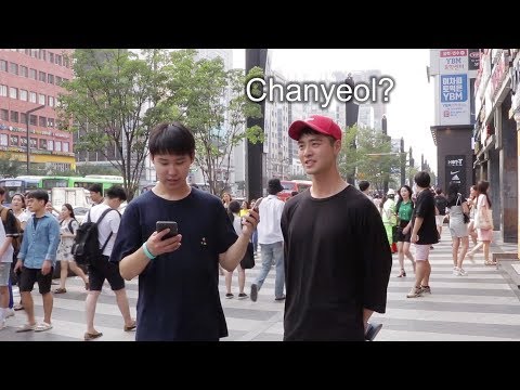 What do Koreans think of EXO?