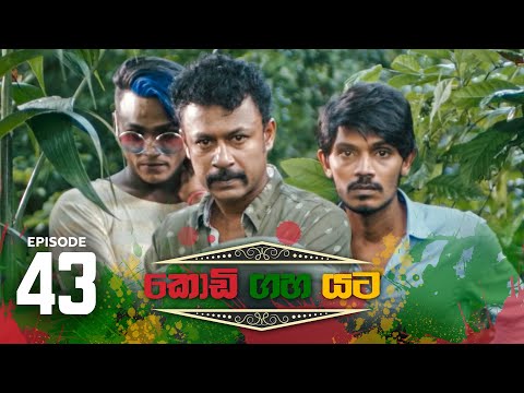 Upload mp3 to YouTube and audio cutter for Kodi Gaha Yata | Episode 43 - (2023-08-05) | ITN download from Youtube