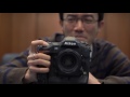 DRTV по-русски: Первые впечатления Лока от Nikon D5