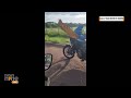 Curious Macaw Joins Police Patrol in Brazil | Unusual Encounter Caught on Camera! | News9  - 01:17 min - News - Video