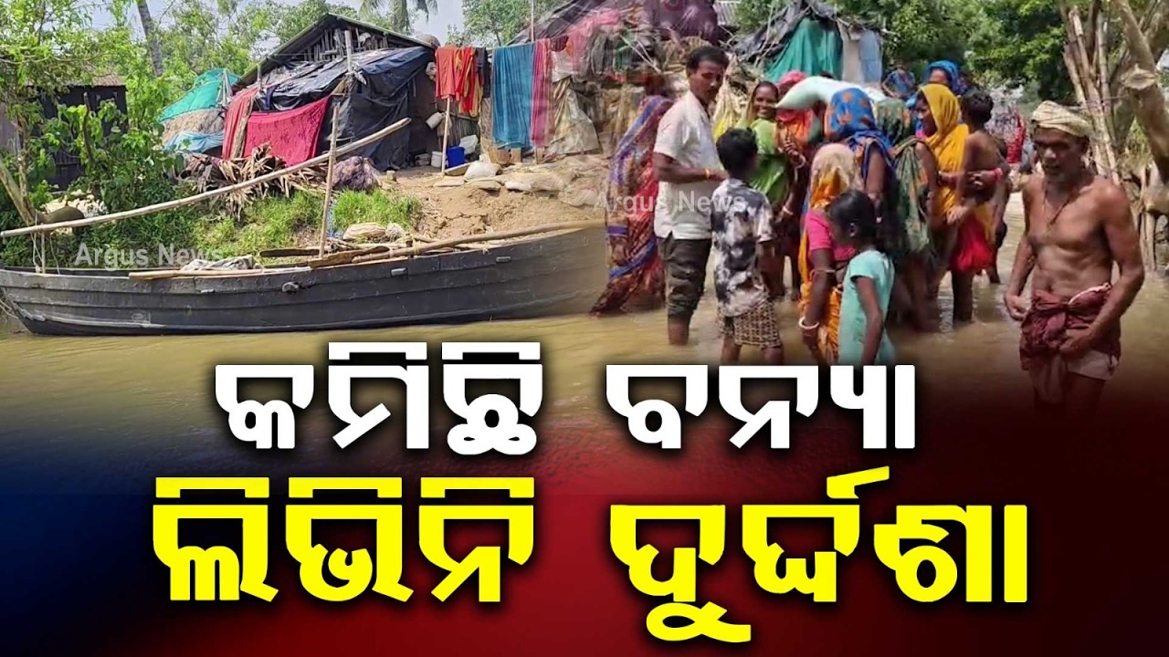 Subarnarekha Flood Recedes But Waterlogging Plagues Baliapal & Bhograi | Argus News