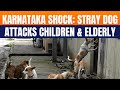 LIVE: Karnataka Stray Dog Attacks Surge |Children & Elderly Mauled, Safety Debate Intensifies |News9