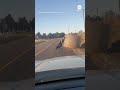 Missouri State Highway Patrol trooper shows off strength as he pushes a hay bale off a road  - 00:48 min - News - Video