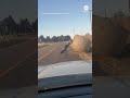 Missouri State Highway Patrol trooper shows off strength as he pushes a hay bale off a road
