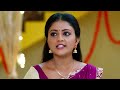 Radhaku Neevera Praanam - Full Ep - 64 - Radhika, Karthik, Pallavi - Zee Telugu  - 21:21 min - News - Video