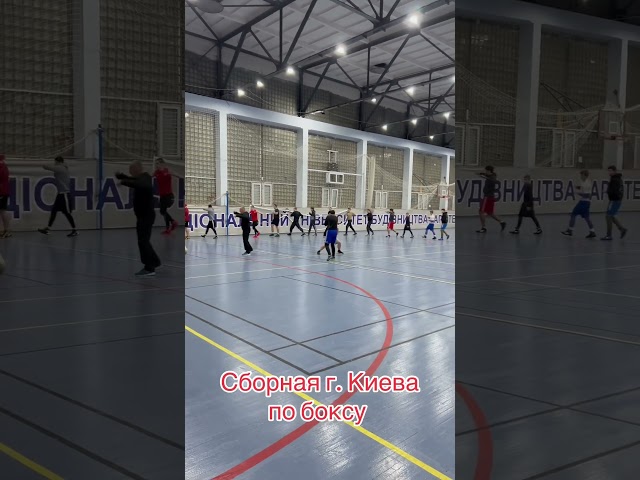 Сборная г. Киева по боксу #городничев #рекомендации #бокс #boxing #sports #спорт