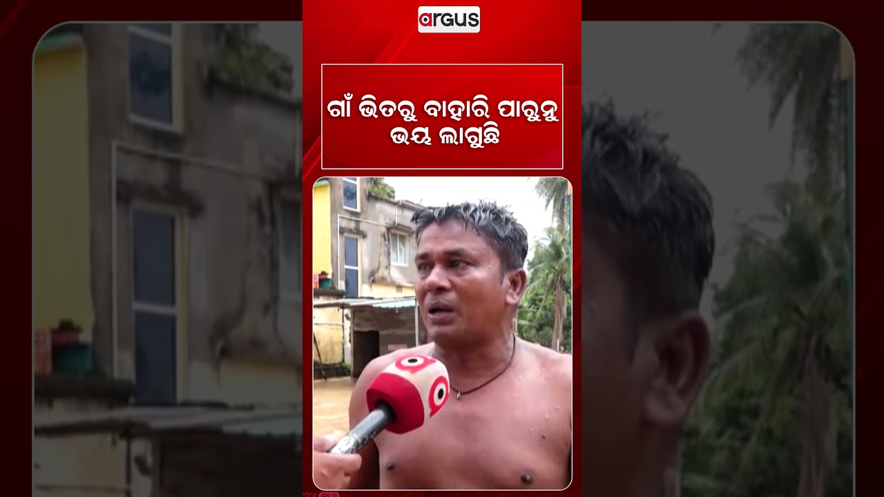 ଗାଁ ଭିତରୁ ବାହାରି ପାରୁନୁ, ଭୟ ଲାଗୁଛି | Odisha Flood | Flood Alret | Argus News