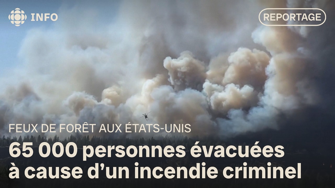 Feux de forêt : un suspect arrêté pour incendie criminel aux États-Unis