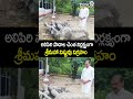అలిపిరి పాదాల చెంత నిర్లక్ష్యంగా శ్రీమహా విష్ణువు విగ్రహం | Bhuma Karunakar Reddy | Prime9 News  - 00:10 min - News - Video