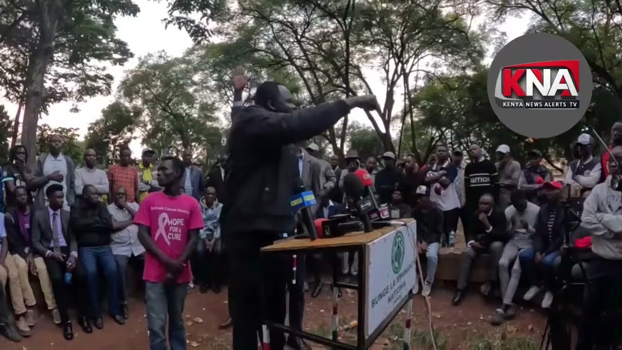 HATUKATAI SERIKALI NI MBAYA LAKINI MBONA UENDE UVUNJE DUKA LA MTU AMA UCHOME POLICE STATION?