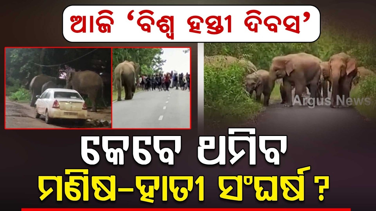 World Elephant Day: Special Celebration At Nandankanan Zoo | Environment Minister Attends Event