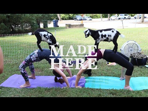 screenshot of youtube video titled Made Here | Goat Yoga