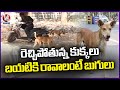 Stray Dog Menace  At Warangal Kakatiya Medical College  | V6 News
