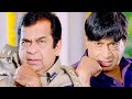Brahmanandam & Ms Narayana Hilarious Comedy Scene | Latest Telugu Comedy Scene | Volga Videos