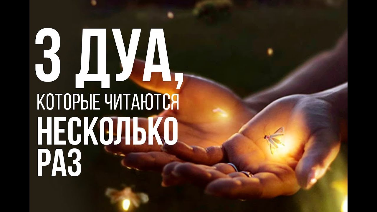 считаю, что правы. Молодую в попу больно полезная штука посморим, заценим