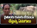 Farmers Facing With Elephants Destroying Crops | Chittoor | V6 News