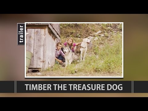 Timber the Treasure Dog'