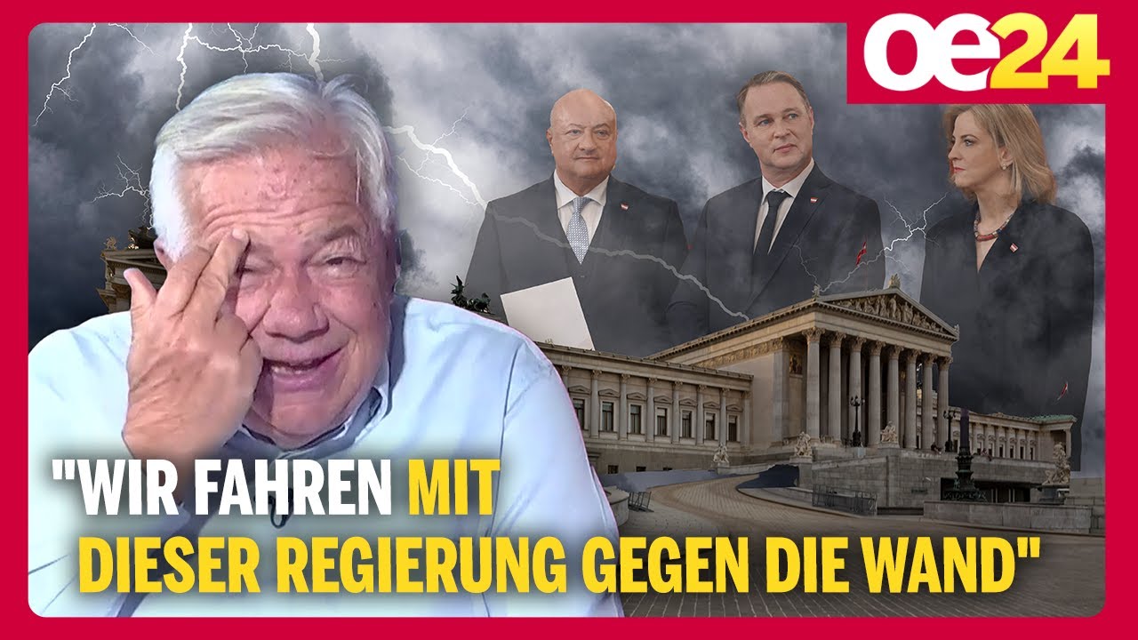 "Wir fahren mit dieser Regierung gegen die Wand" | oe24.TV-Energiepreis-Insider mit Wolfgang Fellner