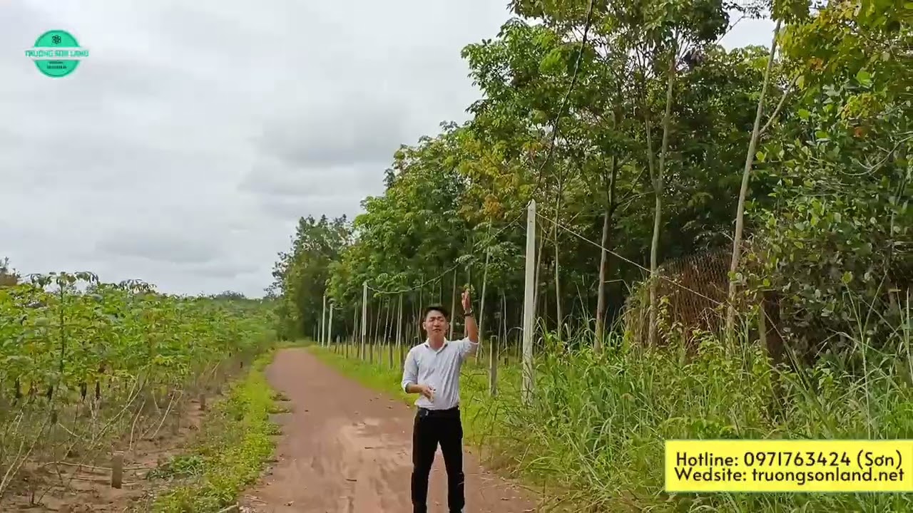 Xã lỗ lô đất thổ cư Dầu Tiếng xã Minh Thạnh 360m2 giá 890tr - hỗ trợ vay, thích hợp đầu tư - an cư video