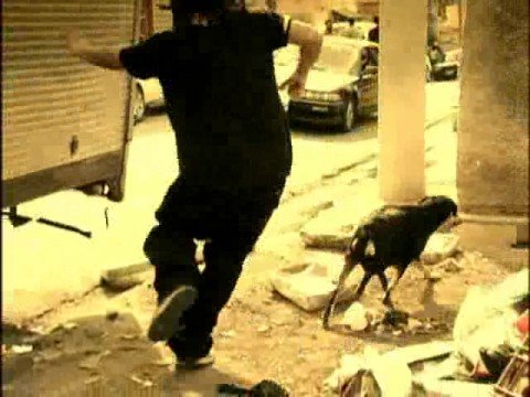 STONY SKUNK - RAGGA MUFFIN M/V