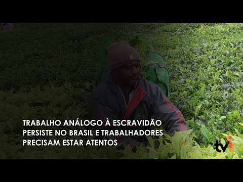 Vídeo: Trabalho análogo à escravidão persiste no Brasil e trabalhadores precisam estar atentos
