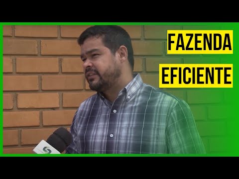 Descubra como deixar sua fazenda mais lucrativa - Sucesso no Campo