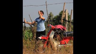 Cánh Đồng Hòa Bình (Trịnh Công Sơn ) -  Hoàng Trang