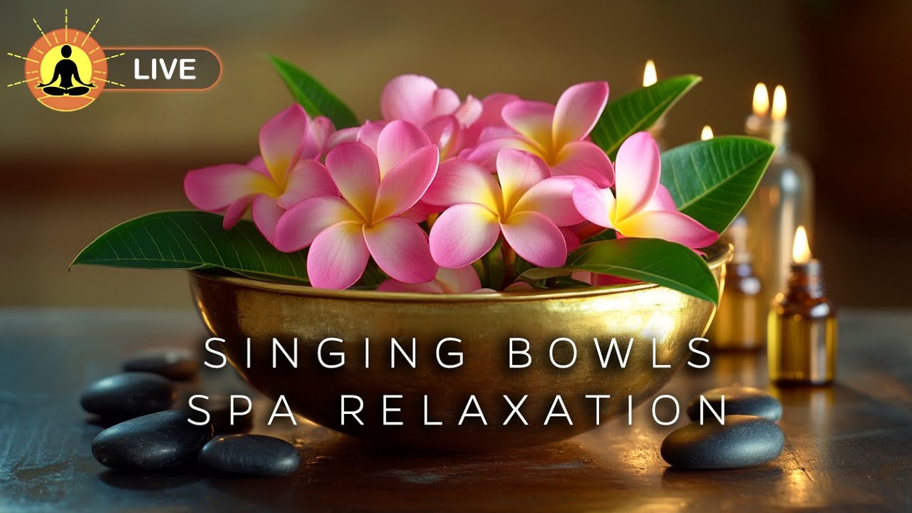 🔴 24 Hours of Singing Bowls for Spa & Meditation 🪷3392 | Chakra Cleanse for Body, Mind & Spirit