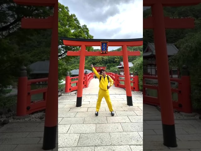 展榮展瑞 月光族 大阪 勝尾寺 #舞蹈【 #波波星球泡泡哥哥 】#shorts #dance #fyp