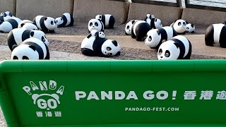 Panda Go Fest HongKong