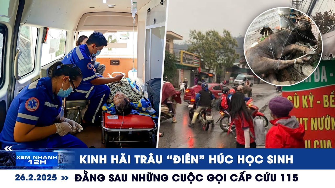 XEM NHANH 12H ngày 26/2: Kinh hãi trâu “điên” húc học sinh | Đằng sau những cuộc gọi cấp cứu 115